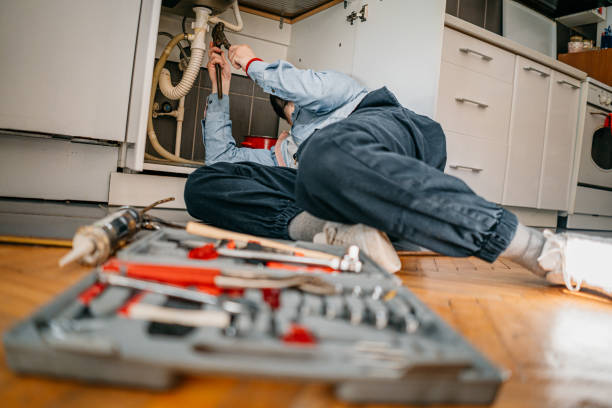 Best Sprinkler Systems  in Dilkon, AZ