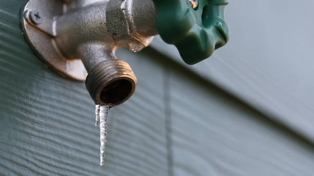 Best Best Plumbers Near Me  in Dilkon, AZ